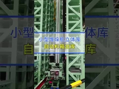 Maximaal 3500 kg Palet Automatic Racking System AS-RS Stacker met dubbele kolom